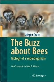 The Buzz About Bees book cover